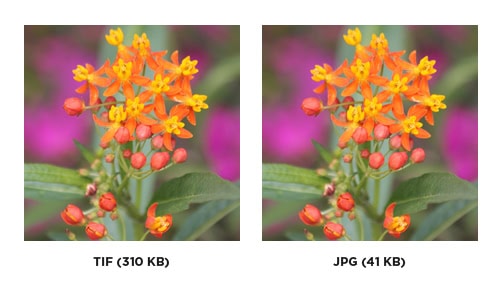 TIF versus JPG comparison