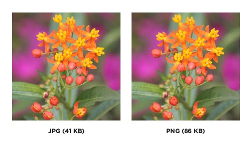 JPG versus PNG format